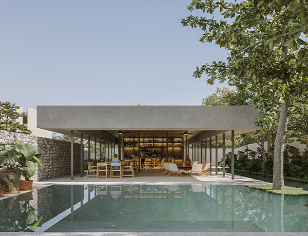 Pajaro en Piedra Inmobiliaria BCI Portada